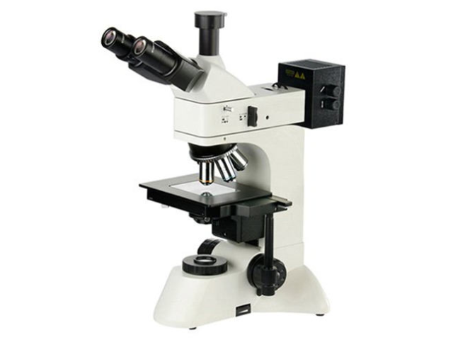 临平区荧光金相显微镜定制