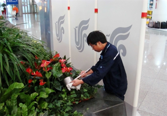 楊浦區植被養護有限公司 值得信賴 上海華譽環境服務供應