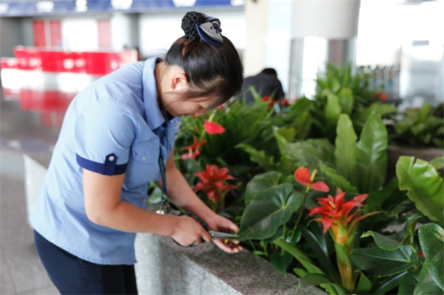 徐匯大理石養護實施方案 上海華譽環境服務供應