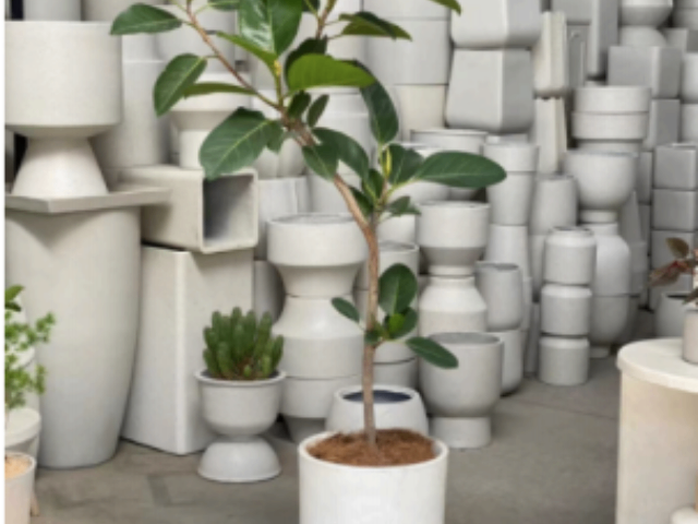 上海花卉綠化綠植養護服務 值得信賴 上海華譽環境服務供應