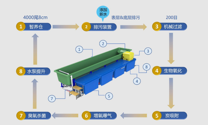 上海高密度工厂化水产养殖物联网 上海芾驰智能科技供应