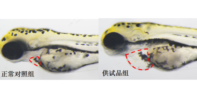 化妆品功效性评价的方法