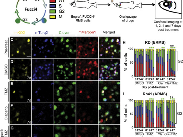杭州環(huán)特生物科技股份有限公司怎么樣 信息推薦 杭州環(huán)特生物科技供應(yīng)
