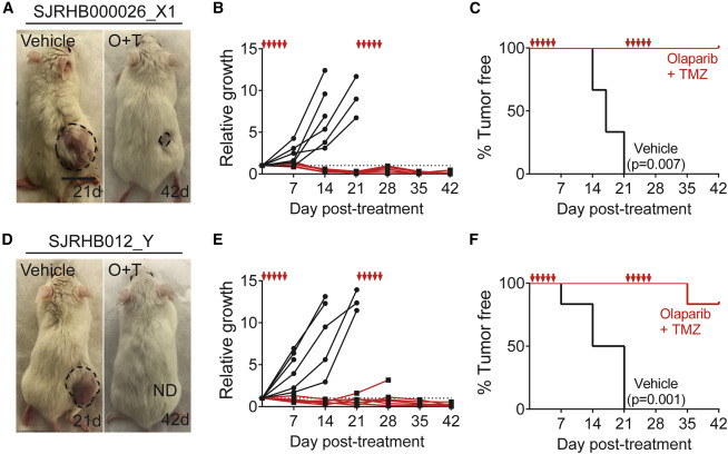 杭州懷特 信息推薦 杭州環(huán)特生物科技供應(yīng)