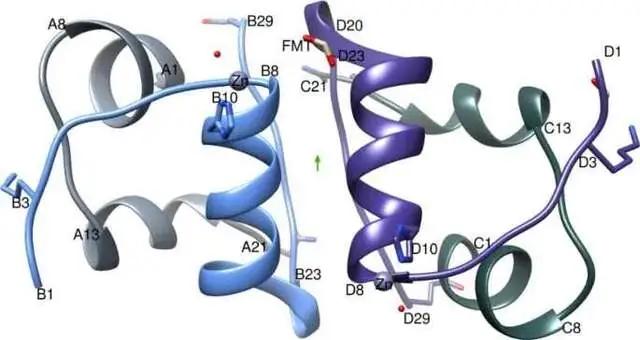 傅里叶红外光谱测蛋白二级结构