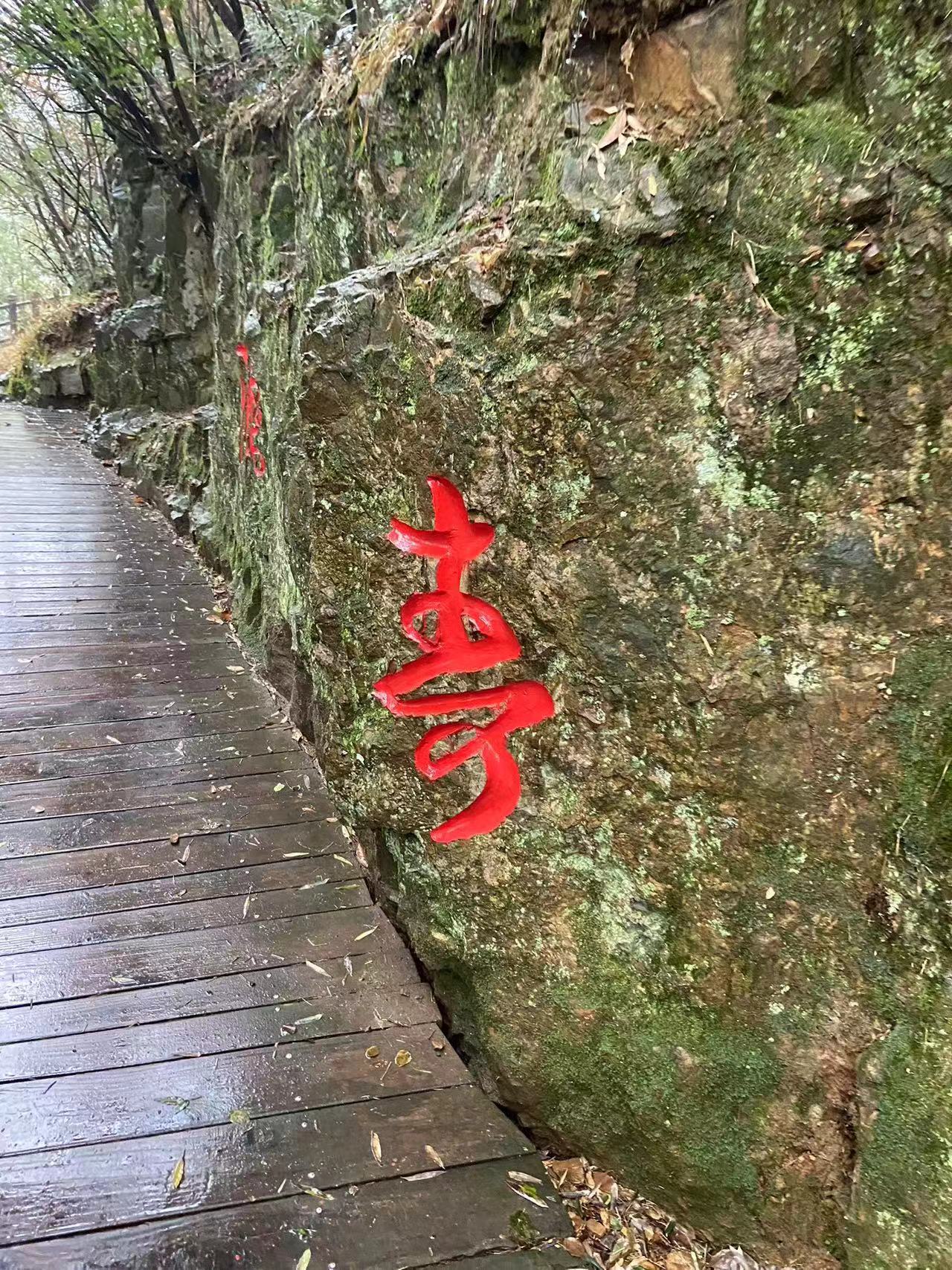 上?？ò铍姎庥邢薰? width=