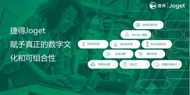 中国台湾大企业低代码开发平台团队