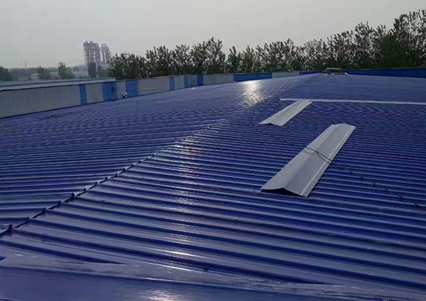 山東金光紙業(yè)