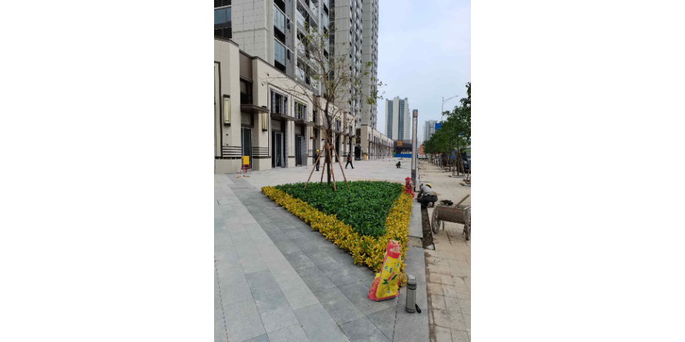广州城市绿化工程