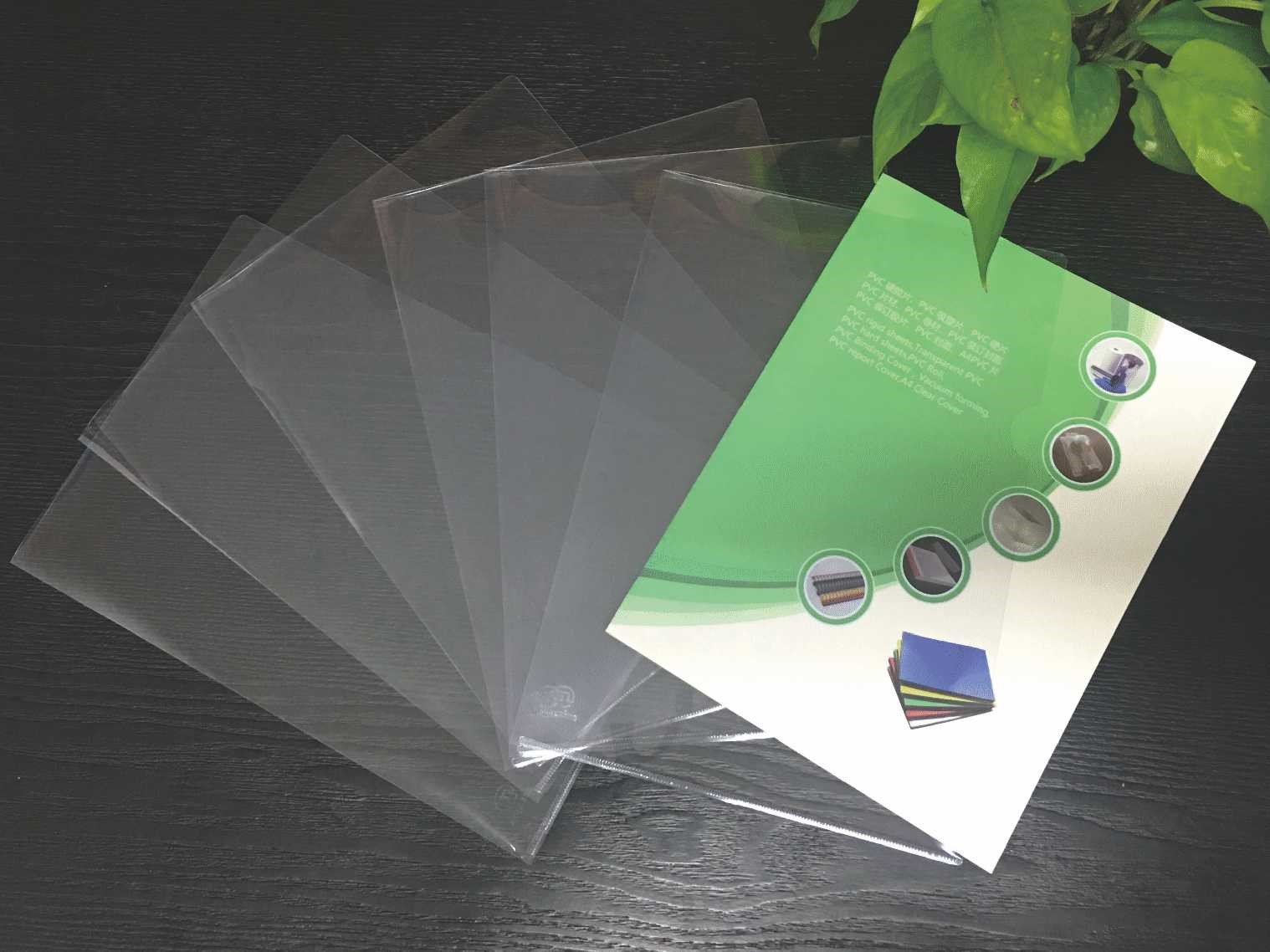 transparent PVC folders