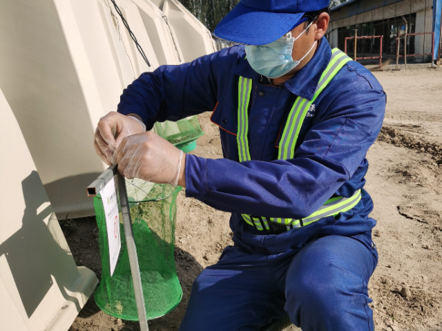 四川白蚁消杀内蒙古虫害消杀常见问题 欢迎来电 内蒙古润泽环保供应