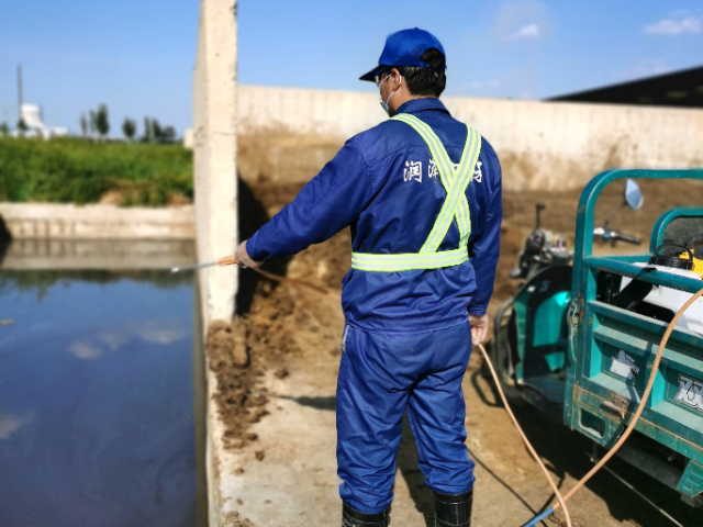 内蒙古臭虫内蒙古虫害消杀有哪些本地商家 欢迎来电 内蒙古润泽环保供应