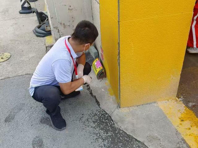 北京白蟻消殺病煤生物防制怎么樣 歡迎來電 內蒙古潤澤環保供應