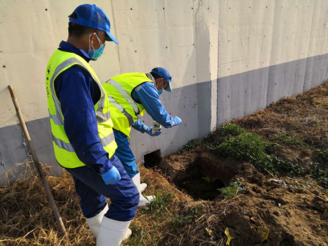 内蒙古跳蚤病煤生物防制哪家强 欢迎来电 内蒙古润泽环保供应