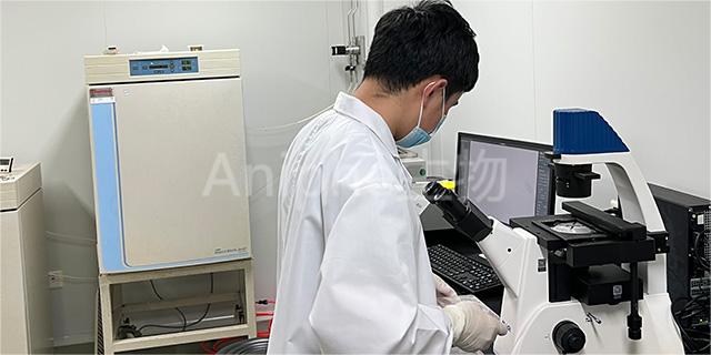 上海Micro-CT扫描实验外包报价,实验外包