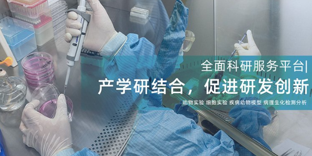 上海快速制作肝纤维化HF动物模型周期短,肝纤维化HF动物模型