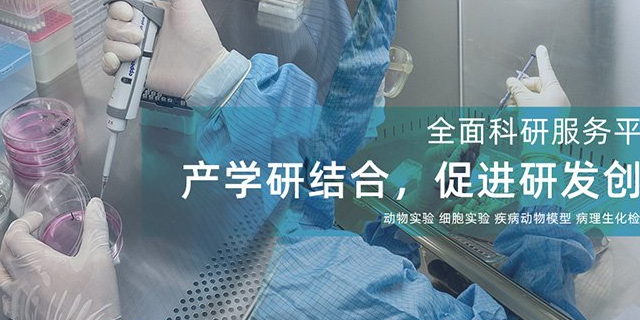 南京肺栓塞肺动脉高压PH动物模型免疫荧光法检测
