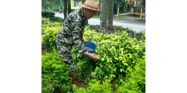 徐州节约城市绿化管理分类,城市绿化管理