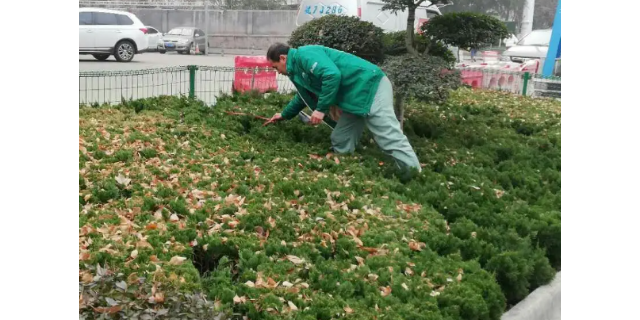 南京创意农作物病虫害防治服务视频,农作物病虫害防治服务