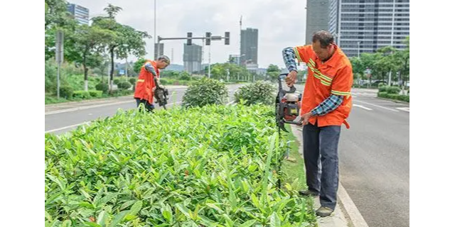 淮安贸易城市绿化管理要求