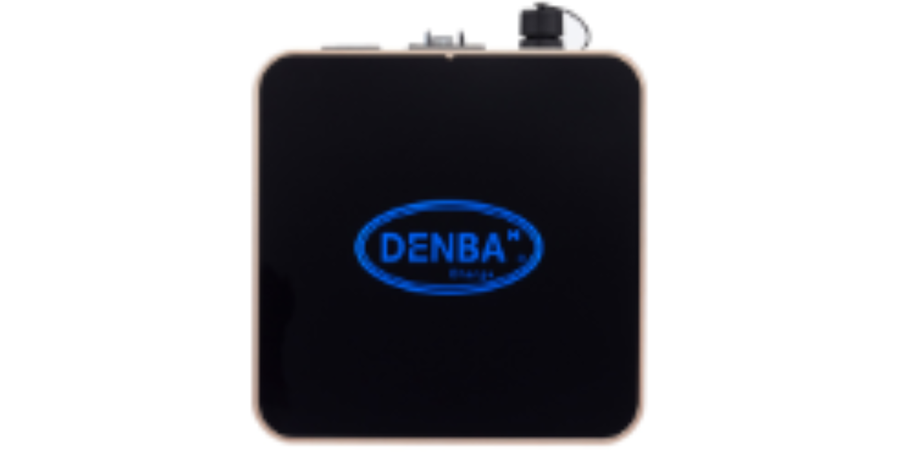 安徽DENBA单电极电场发生器服务热线,DENBA单电极电场发生器