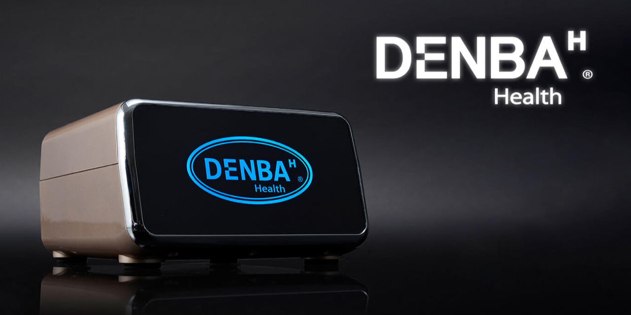 河南购买DENBA单电极电场发生器电话多少