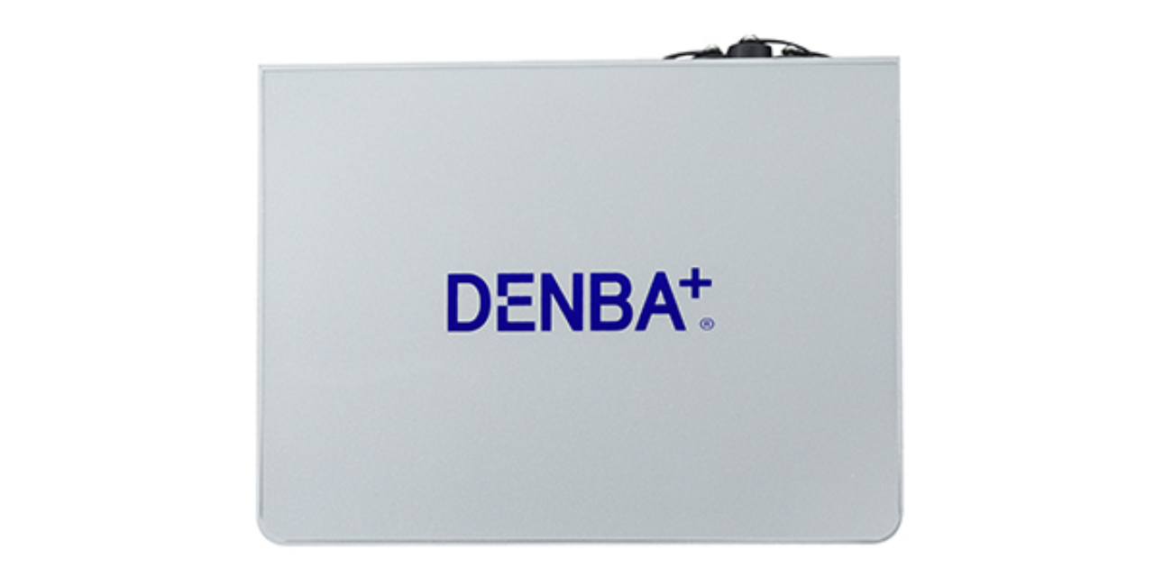 贵州运用DENBA单电极电场发生器招商,DENBA单电极电场发生器