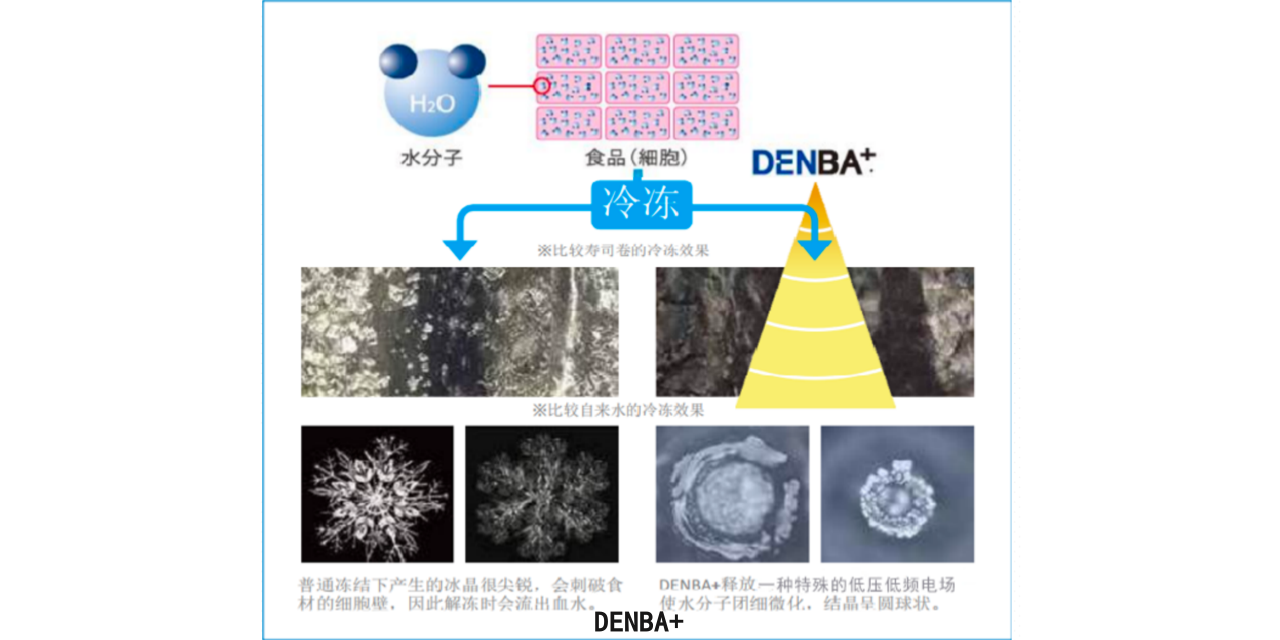 辽宁哪里有生物电场发生器如何活化水分子