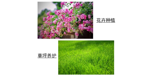 吉林品牌肥料货源充足 欢迎来电 南京盛甲田生物科技供应;