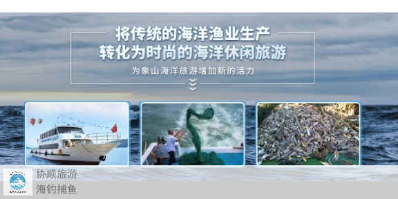 宁波海钓捕鱼活动