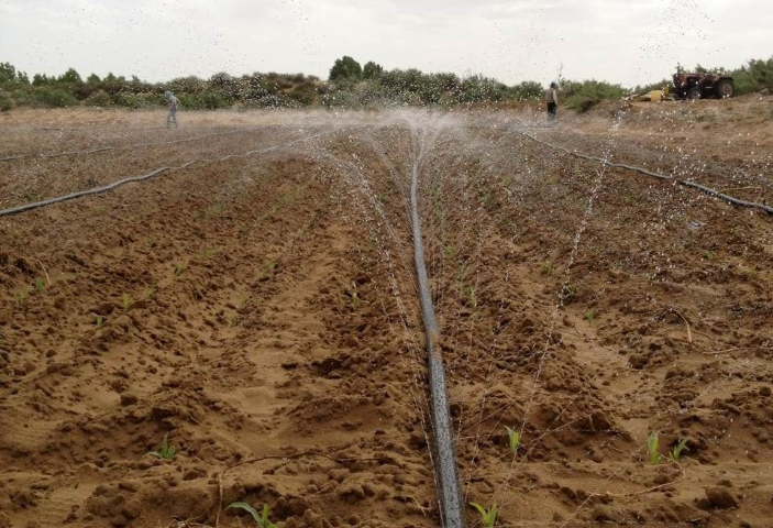 海南三孔微噴帶配件 歡迎來電 浙江農(nóng)豐軟管股份供應(yīng)