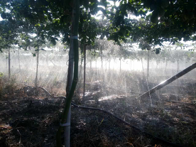 河南节水微喷带批发 欢迎来电 浙江农丰软管股份供应