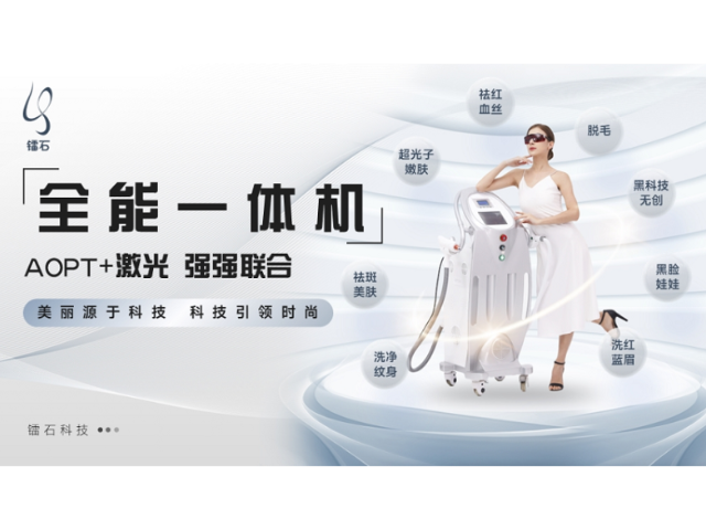 上海美胸美容仪器设备厂家 欢迎来电 义乌市镭石光电科技供应