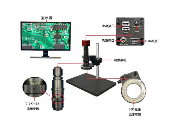 重慶螨蟲視頻顯微鏡廠家 歡迎咨詢 蘇州樂瞳儀器供應(yīng)