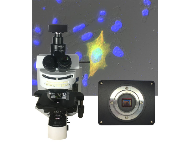 陕西原装进口显微镜相机厂家,显微镜相机
