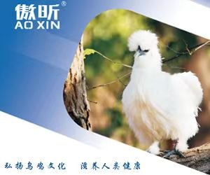 弘扬乌鸡文化，滋养人类健康