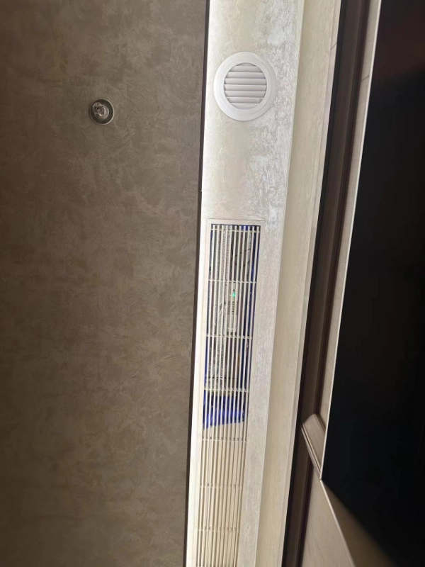 Plasma air purifier for mold application case