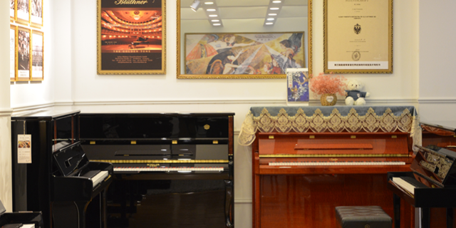 施特劳斯立式钢琴市场价 四川盛音乐器供应