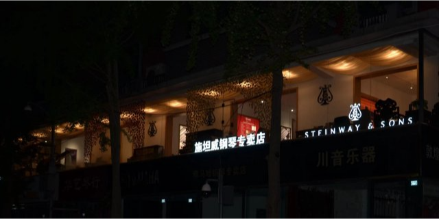 四川塞勒钢琴专卖店,钢琴