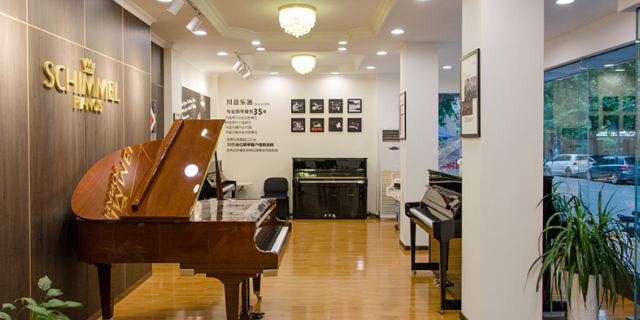 新都区施坦威立式钢琴线下体验店