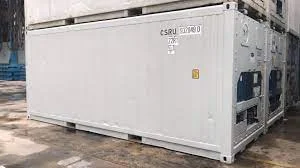 Freezer Containers for Shipping to Singapore