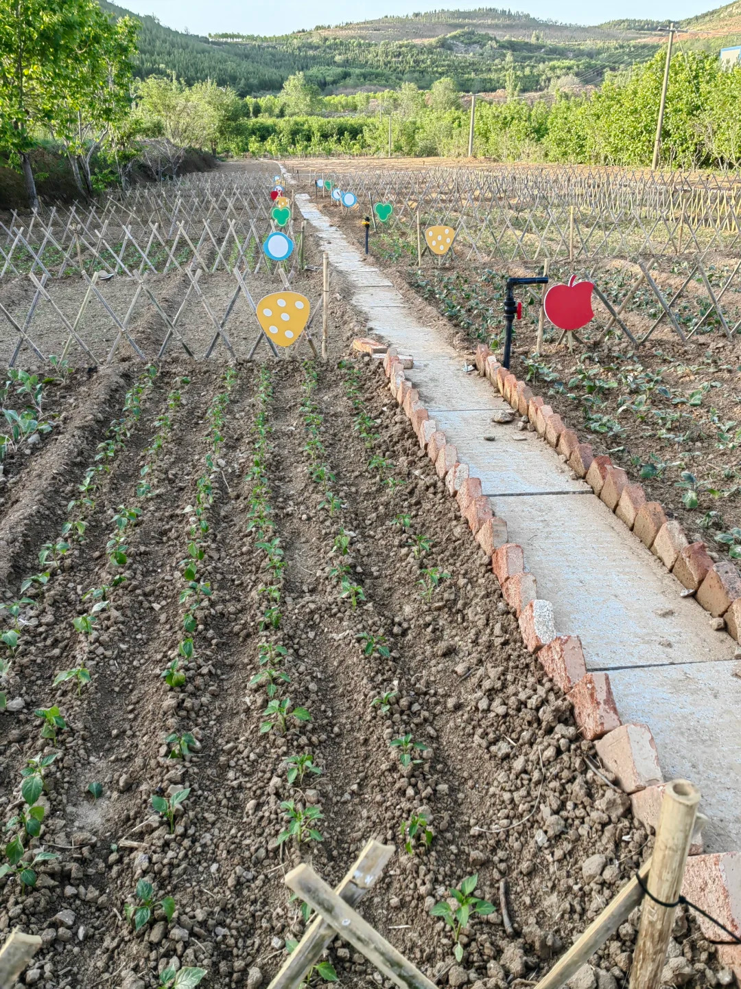 ����ɽҰ�� ӵ��һ�������칲���˵���_3_ɽҰʱ��ũ��_����С������ҳ��