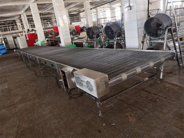 食品不锈钢网带输送机采购 上海汇阳机械供应