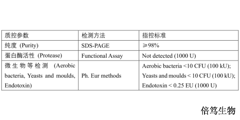 四川分子研究高盐核酸酶70921-202