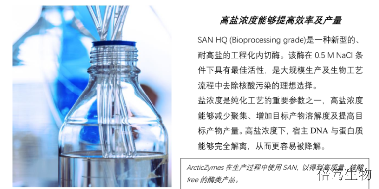 重庆500mM盐浓度条件高盐核酸酶70921