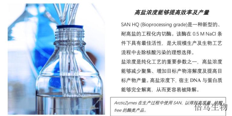 天津SAN HQ TF高盐核酸酶 欢迎咨询 上海倍笃生物科技供应