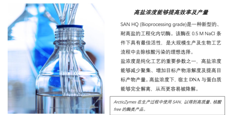 湖北70960-001高鹽核酸酶量大優(yōu)惠 倍篤 上海倍篤生物科技供應(yīng)