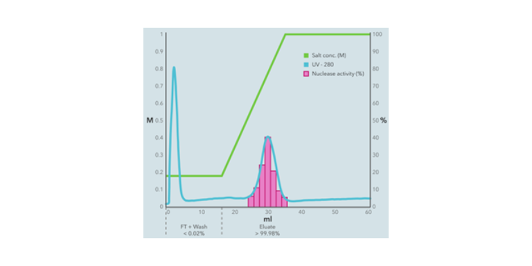 河北70950-160高鹽核酸酶哪家公司銷售 歡迎來電 上海倍篤生物科技供應(yīng)