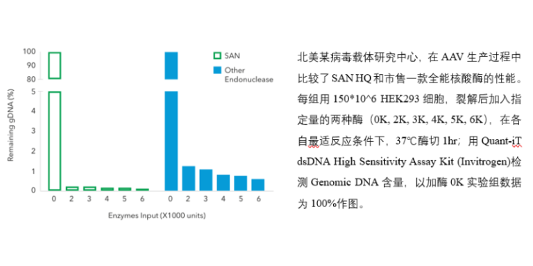天津70930-001高鹽核酸酶哪家公司銷售 歡迎咨詢 上海倍篤生物科技供應(yīng)