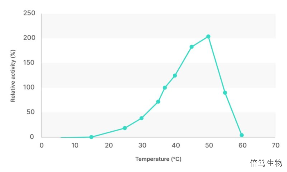 浙江上海倍笃生物中盐核酸酶70950-160 欢迎咨询 上海倍笃生物科技供应